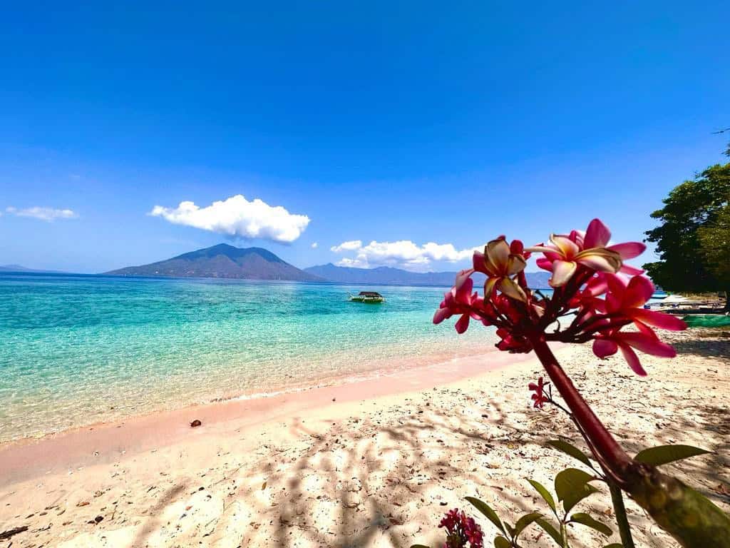 Moko Alor Dive Resort View