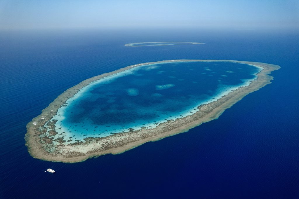 Saudi Arabia Almonda At Farasan Banks